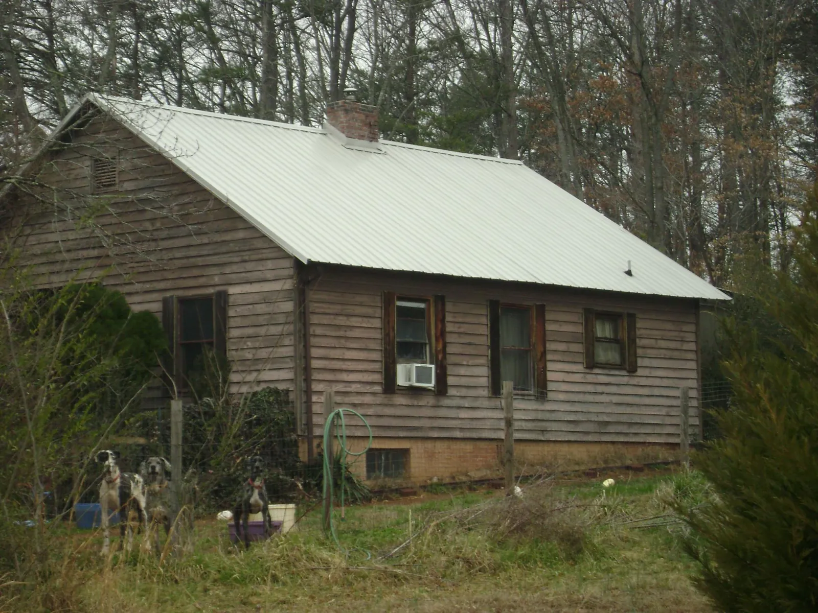 White metal roof on an old wood sided farmhouse, from a Asphalt Shingle Roof Repair job in Huntsburg